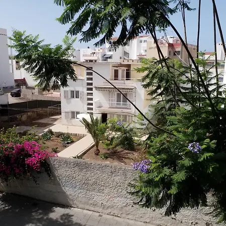 Designer 1 Bedroom White Tree 2 Minutes To The In The Center, Puerto De La Cruz, Tenerife 푸에르토 드 라 크루즈